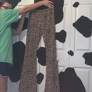 Nasty Gal Flare Leopard Pants
